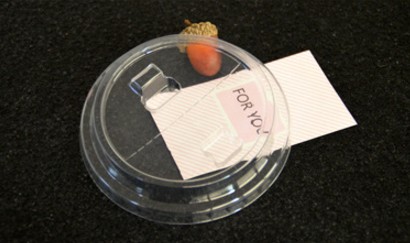 ͸�������̲���_���w���c(di��n)����(y��ng)��